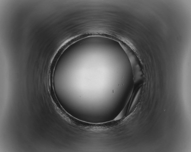 X0000086320984200704202018