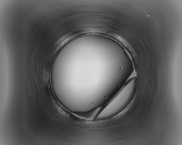 X0000086320985200704202018