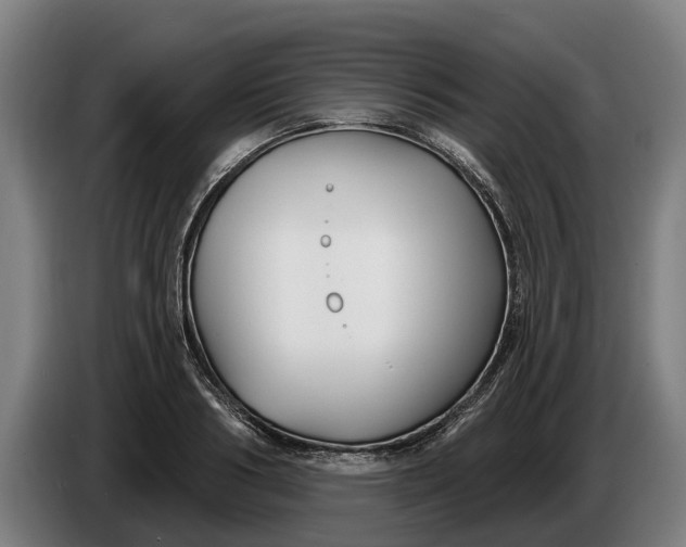 X0000086320986200704202018