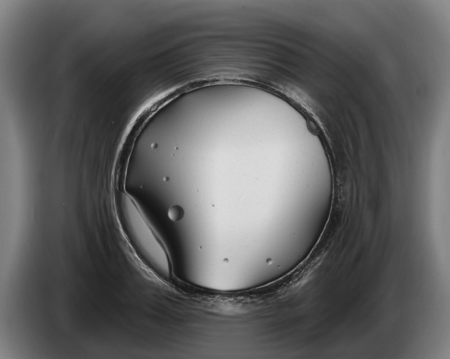 X0000086320987200704202018