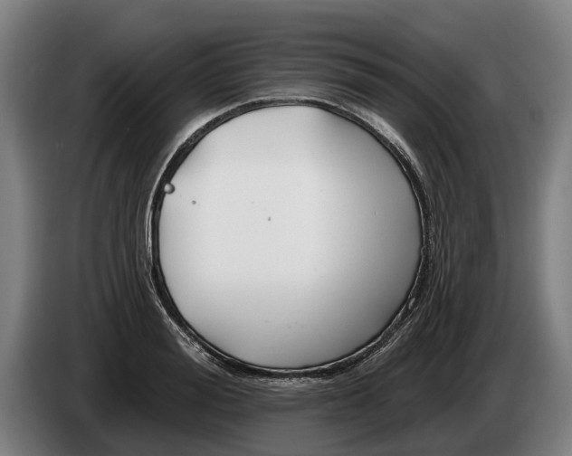 X0000086320988200704202018