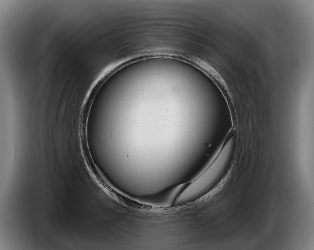 X0000086320989200704202018