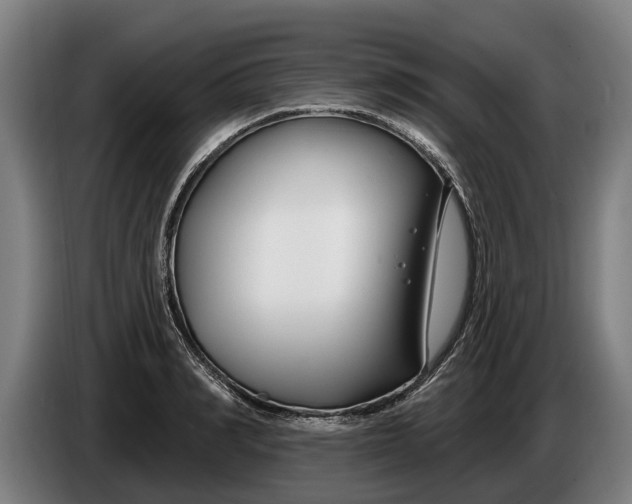 X0000086320990200704202018