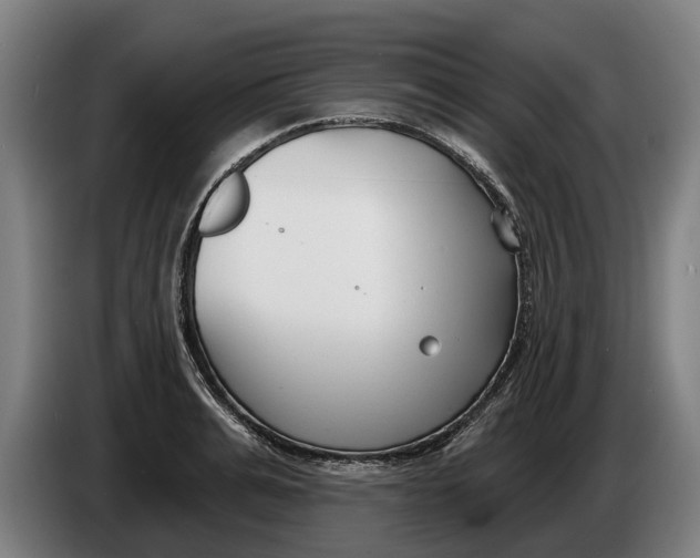 X0000086320991200704202018