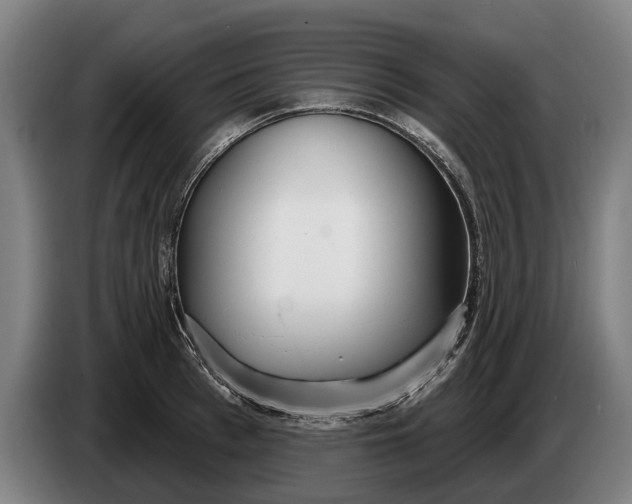 X0000086320993200704202018