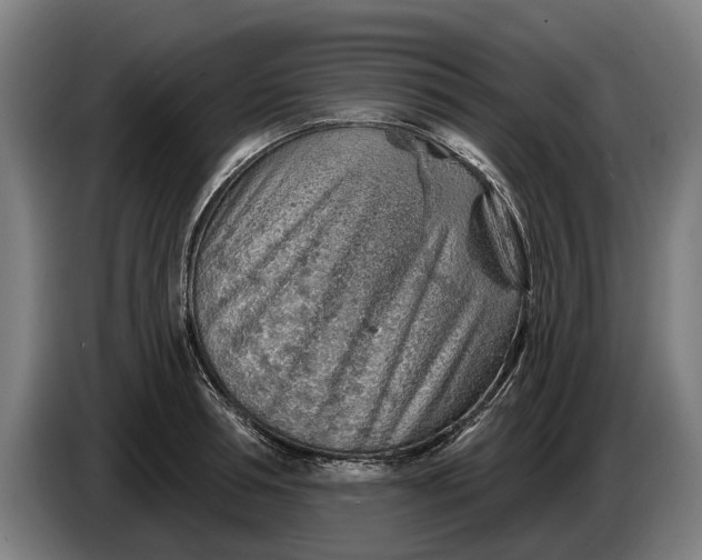 X0000086320994200704202018