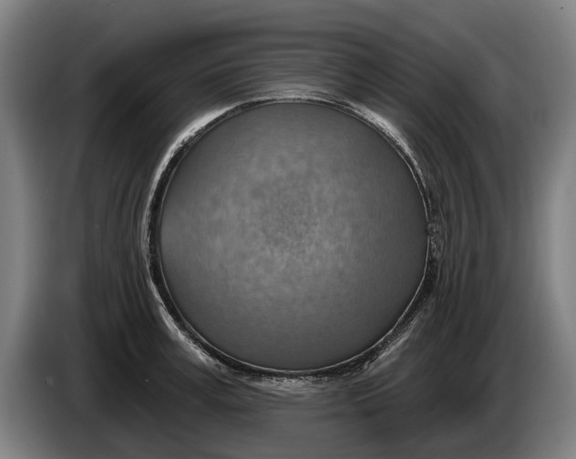 X0000086320995200704202018