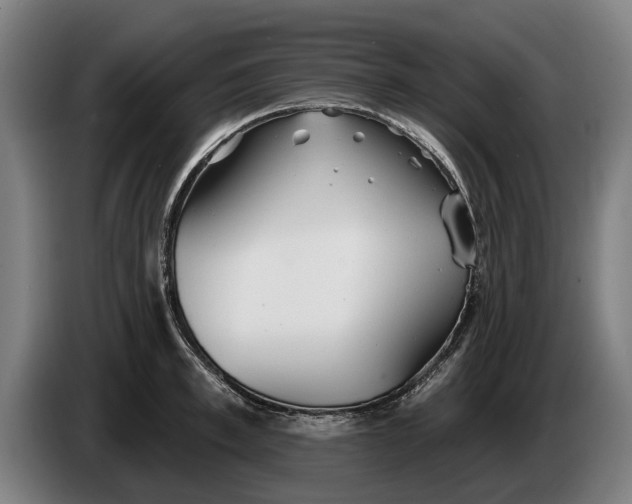 X0000086320997200704202018