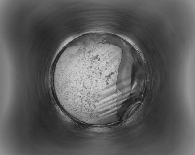 X0000086320998200704202018