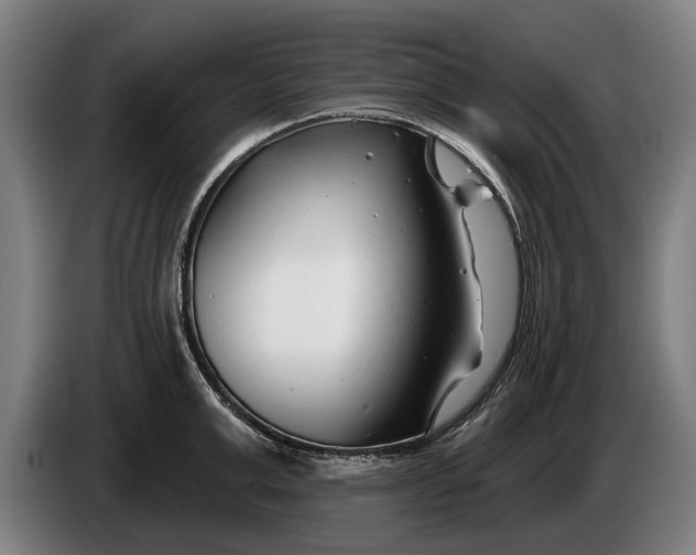 X0000086320999200704202018