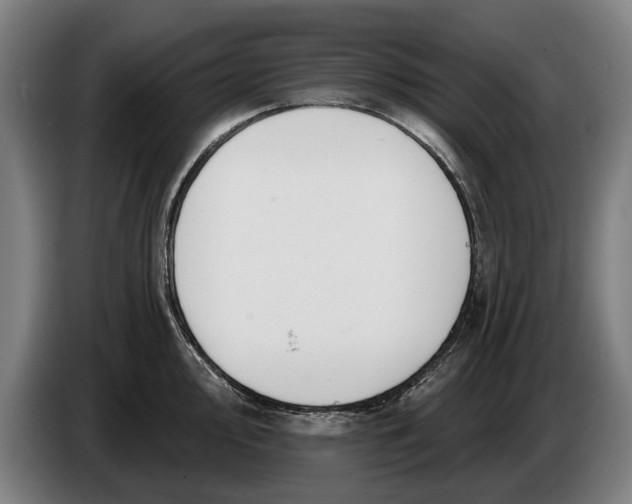 X0000086321000200704202018