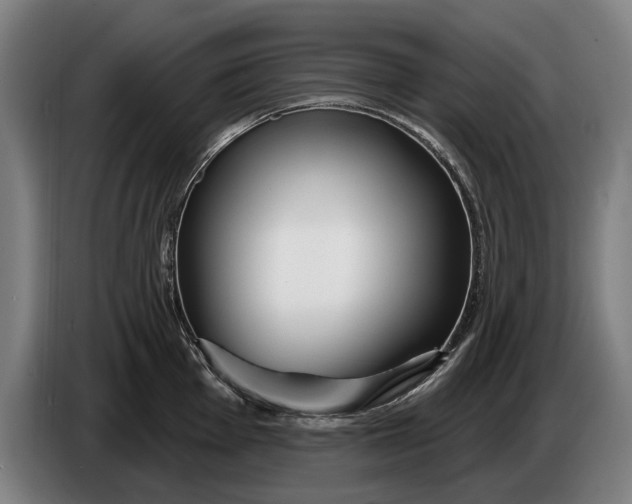 X0000086321001200704202018