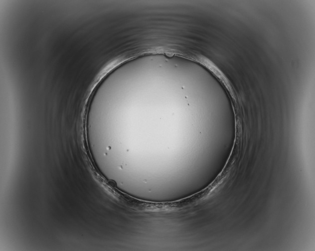 X0000086321002200704202018