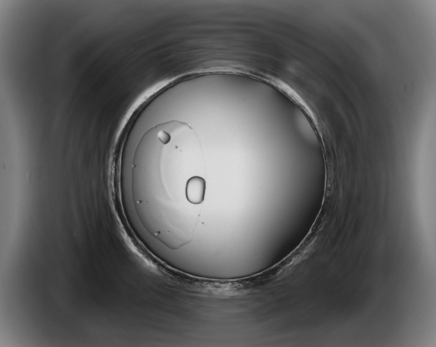 X0000086321003200704202018