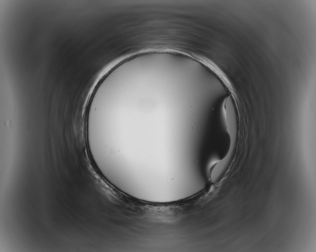 X0000086321004200704202018