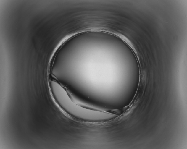 X0000086321005200704202018