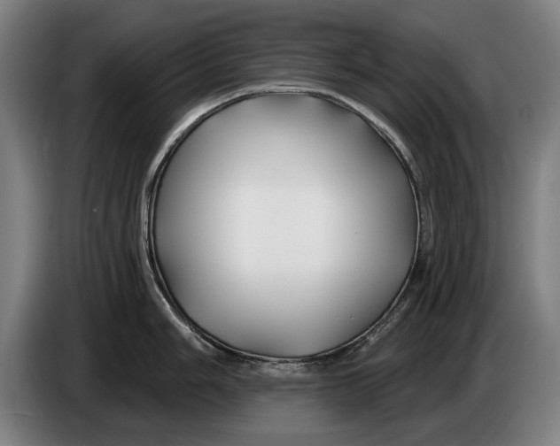 X0000086321006200704202018