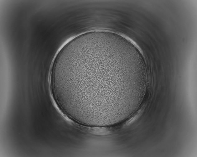 X0000086321007200704202018