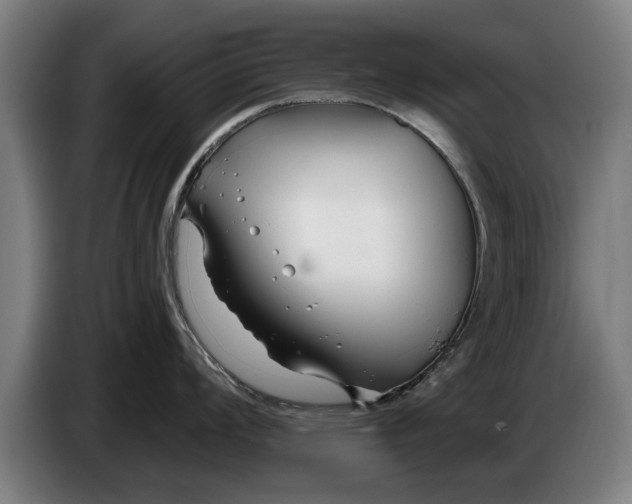 X0000086321008200704202018