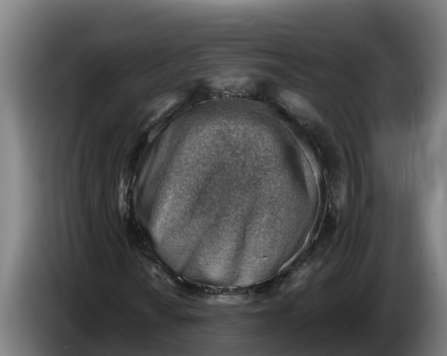 X0000086321010200704202017