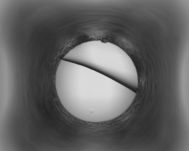 X0000086321012200704202017