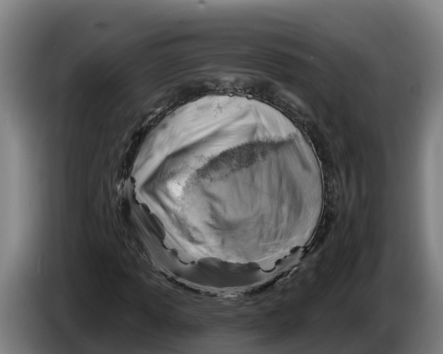 X0000086321013200704202017