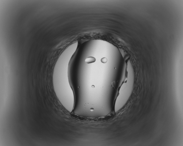 X0000086321014200704202017