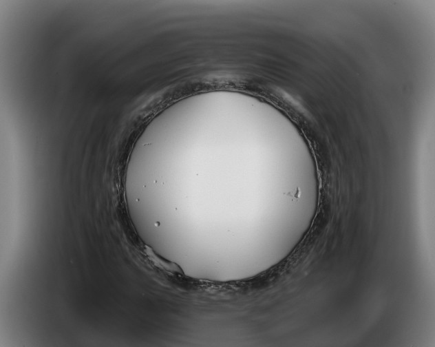 X0000086321015200704202018