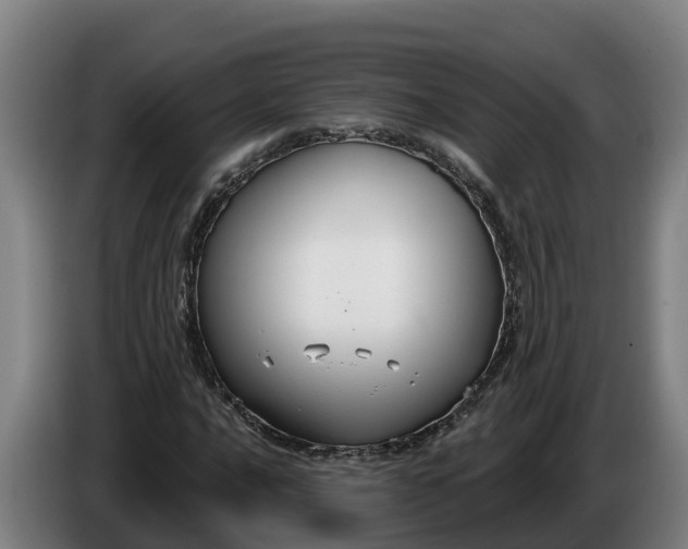 X0000086321016200704202018