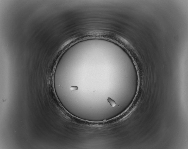 X0000086321017200704202018