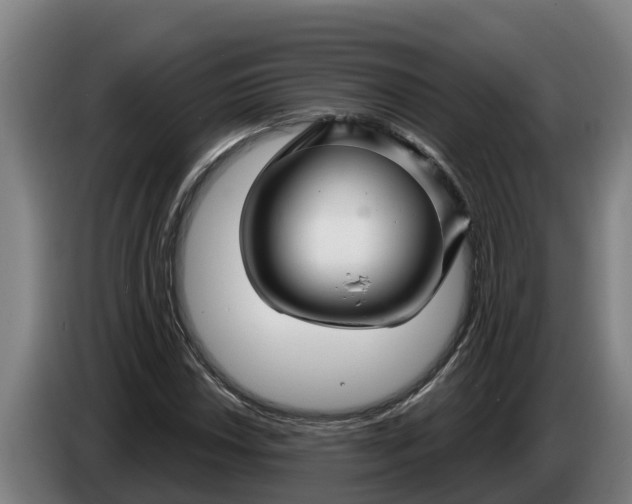 X0000086321018200704202018