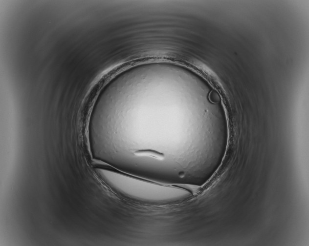 X0000086321019200704202018