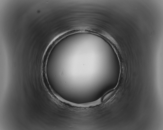 X0000086321020200704202018