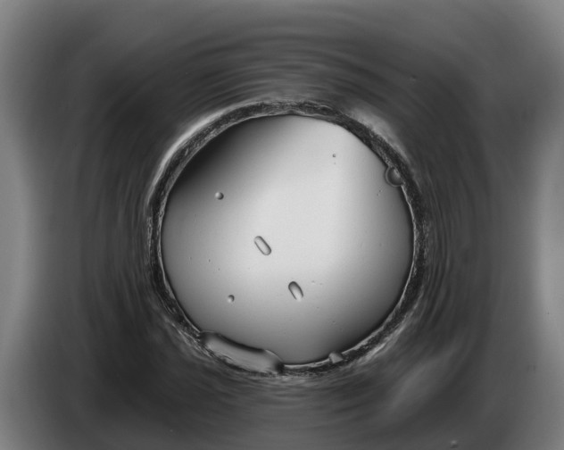 X0000086321021200704202018