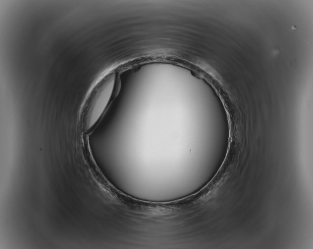 X0000086321022200704202018