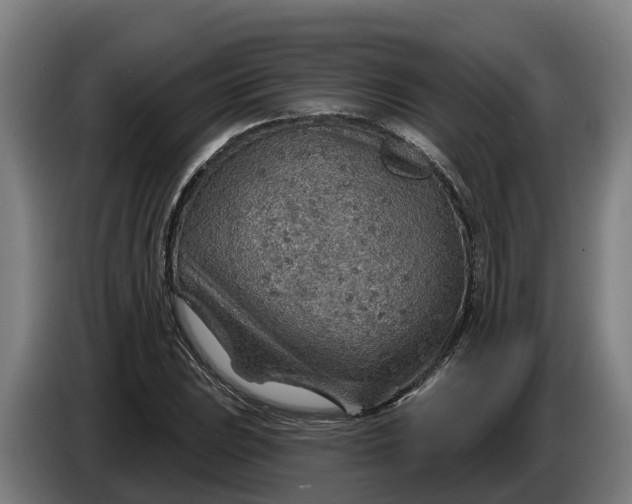 X0000086321023200704202018