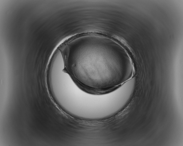 X0000086321024200704202018