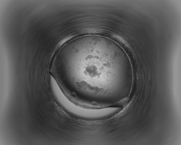 X0000086321025200704202018