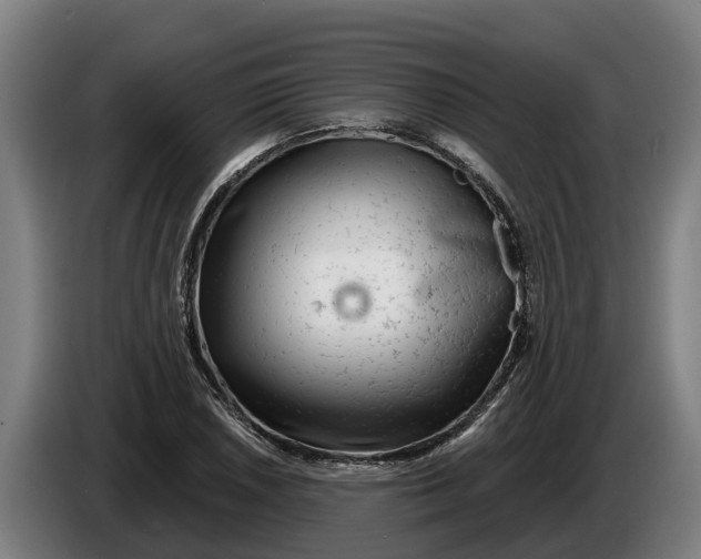 X0000086321026200704202018