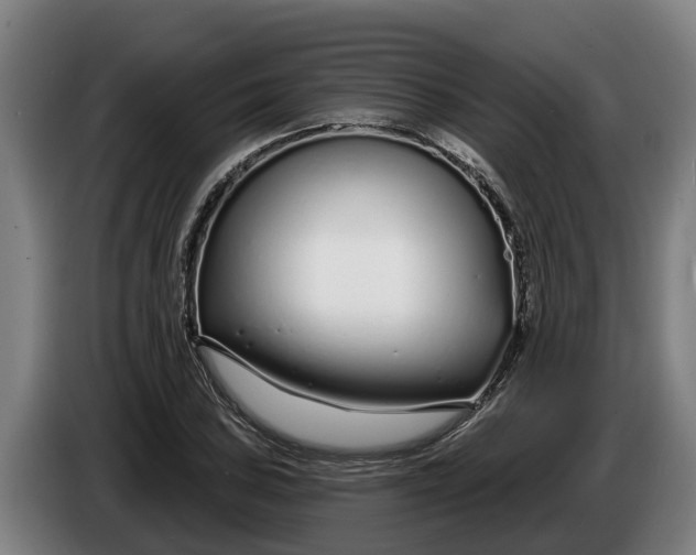 X0000086321027200704202018