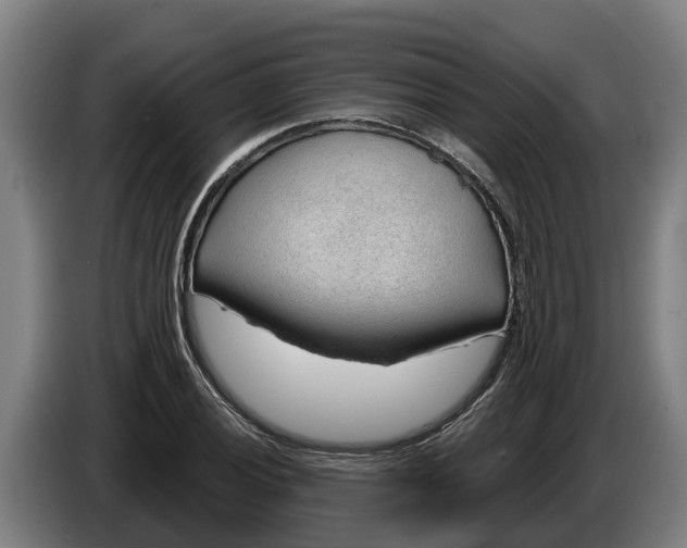 X0000086321028200704202018