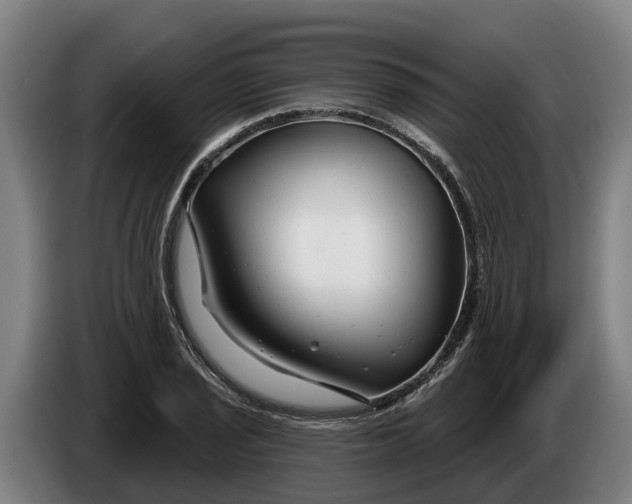 X0000086321029200704202018