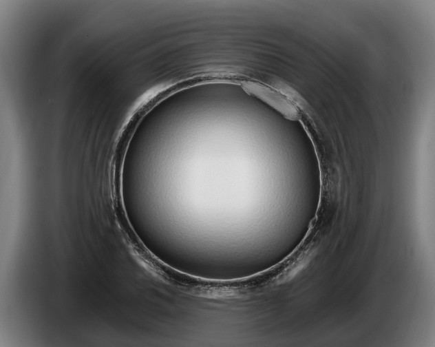 X0000086321030200704202018