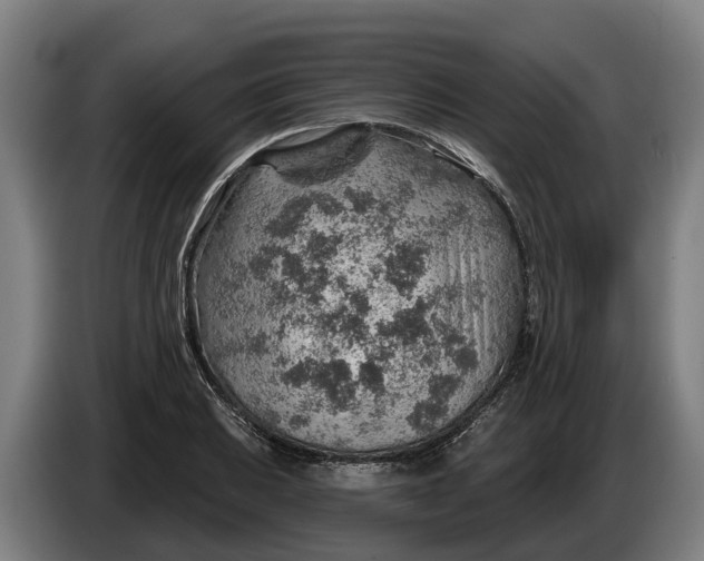 X0000086321031200704202018