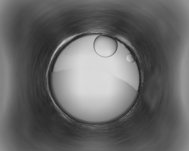 X0000086321032200704202018