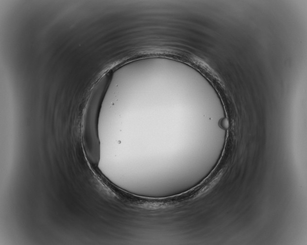 X0000086321033200704202018