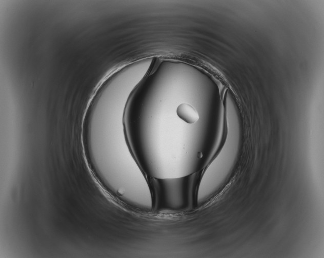 X0000086321034200704202018