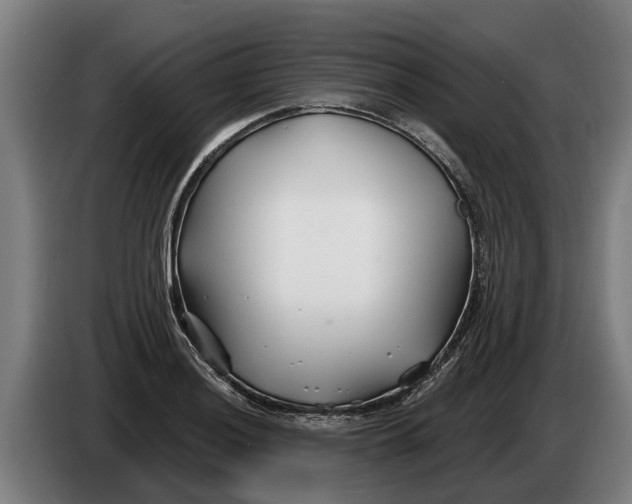 X0000086321036200704202018