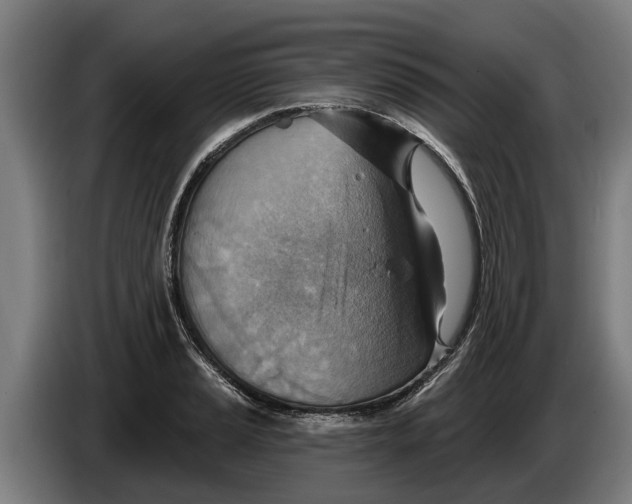 X0000086321037200704202018