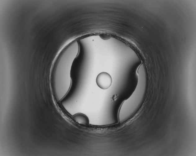 X0000086321038200704202018